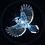 BluejayKitchen19