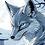 SilverFox