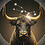 Taurus_T_18